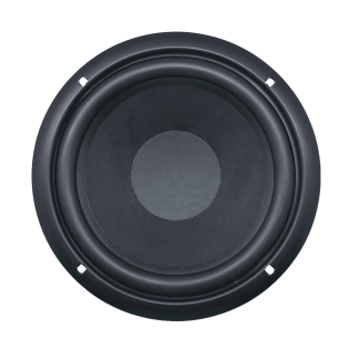 Audax - Speaker Pasif - 8 - AX-8019 W8 - woofer - depan